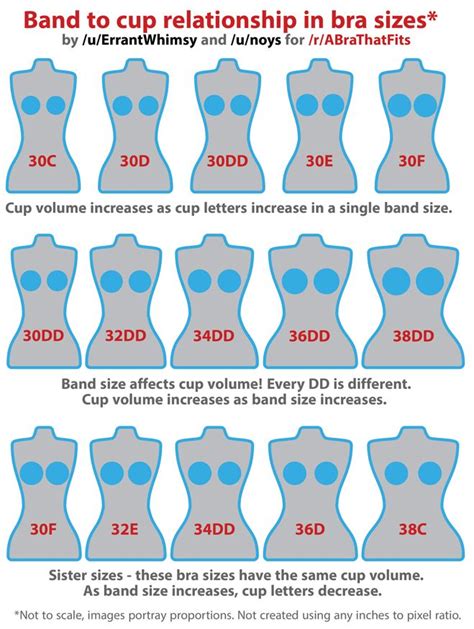 o cup titties|Bra Cup Sizes Smallest to Biggest